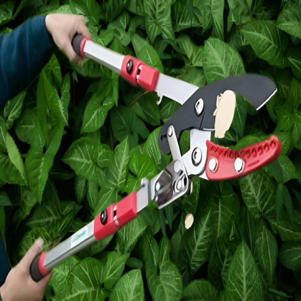 Heavy-Duty Loppers with SK5