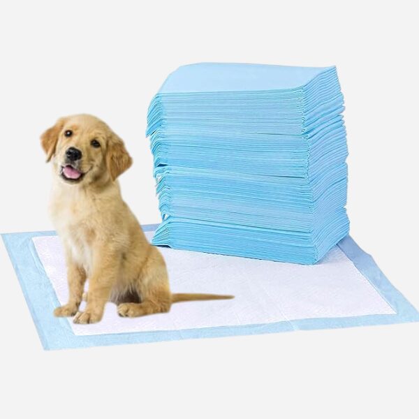 Quick-Dry, Leak-Proof (100-Pack)