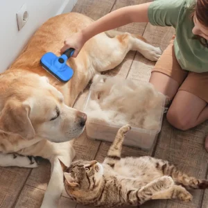 Swihauk-Self-Cleaning-Slicker-Brush-for-Dogs